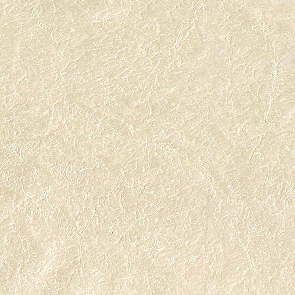 Foglia 6000 6000
